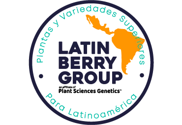 Latin berry